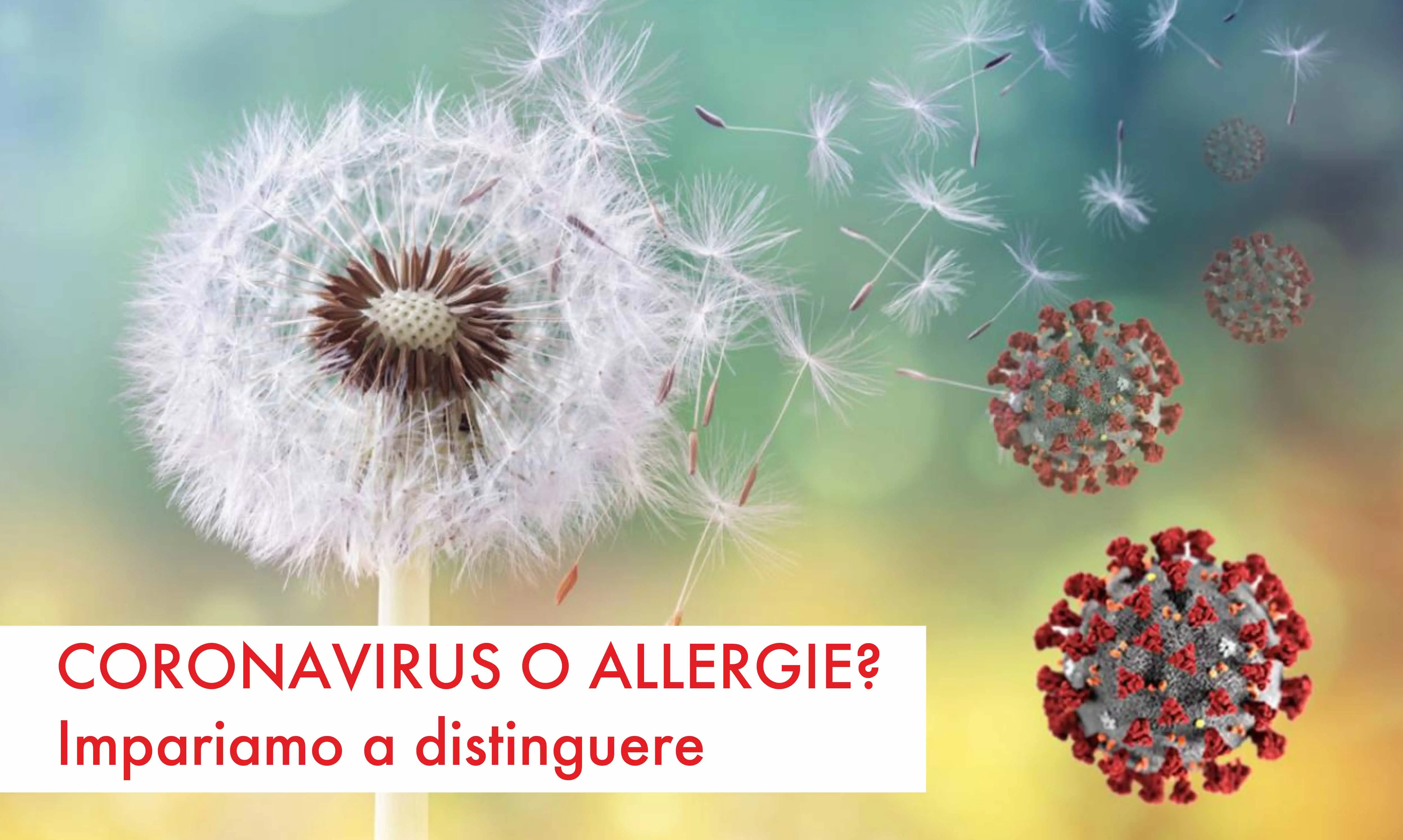 Soffione con virus Sars Cov 19 Soffione con virus Sars Cov 19