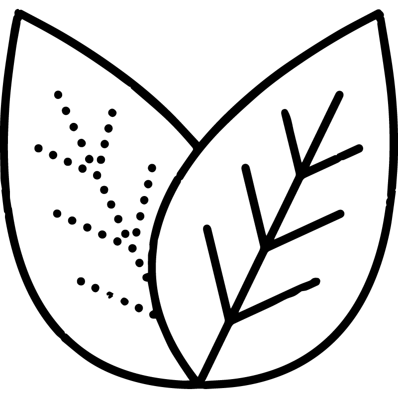 biolab icona
